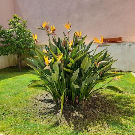 Villa A Casa Da Avo Ana Arneiro das Milharicas Esterno foto
