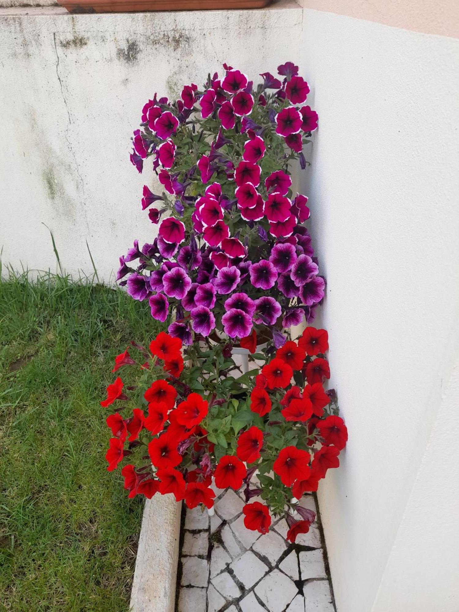 Villa A Casa Da Avo Ana Arneiro das Milharicas Esterno foto
