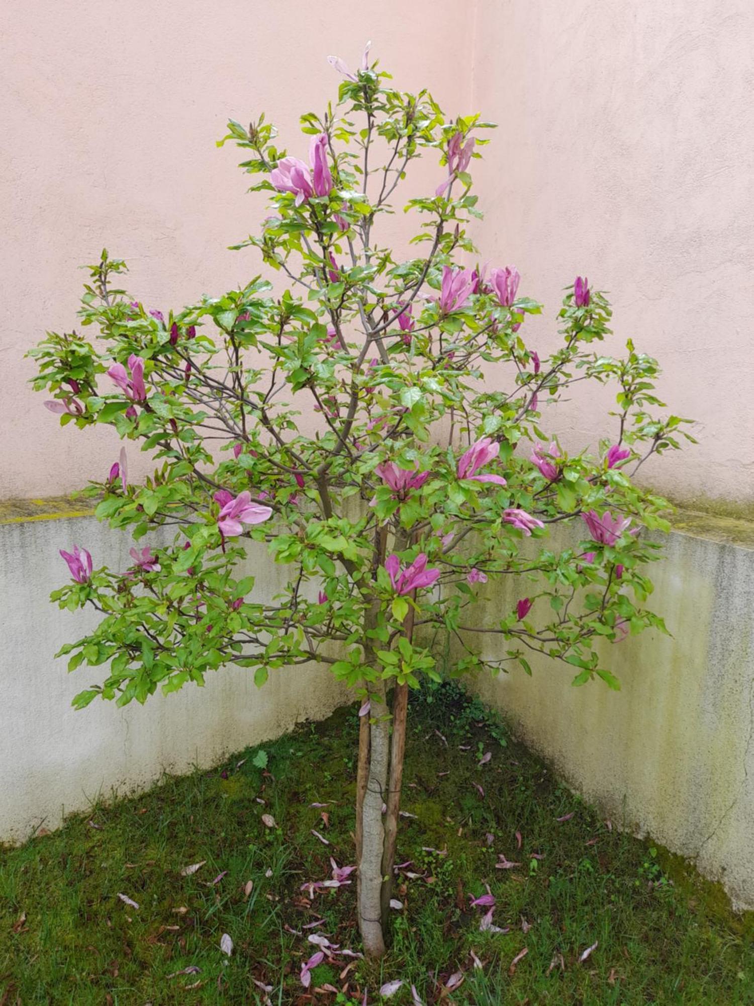 Villa A Casa Da Avo Ana Arneiro das Milharicas Esterno foto