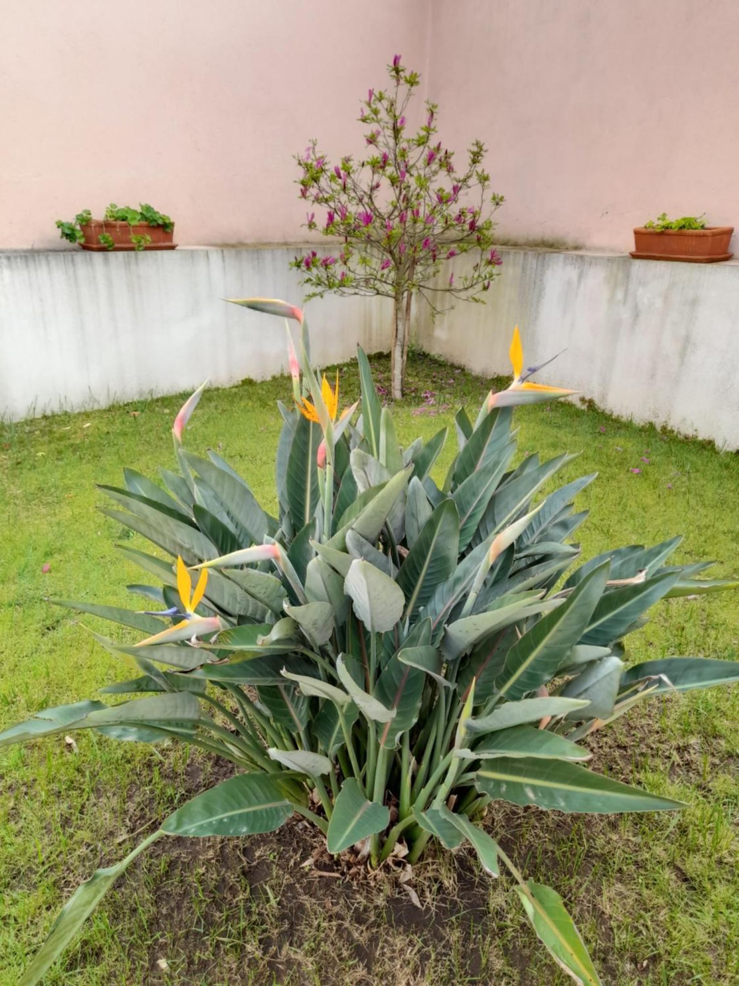 Villa A Casa Da Avo Ana Arneiro das Milharicas Esterno foto