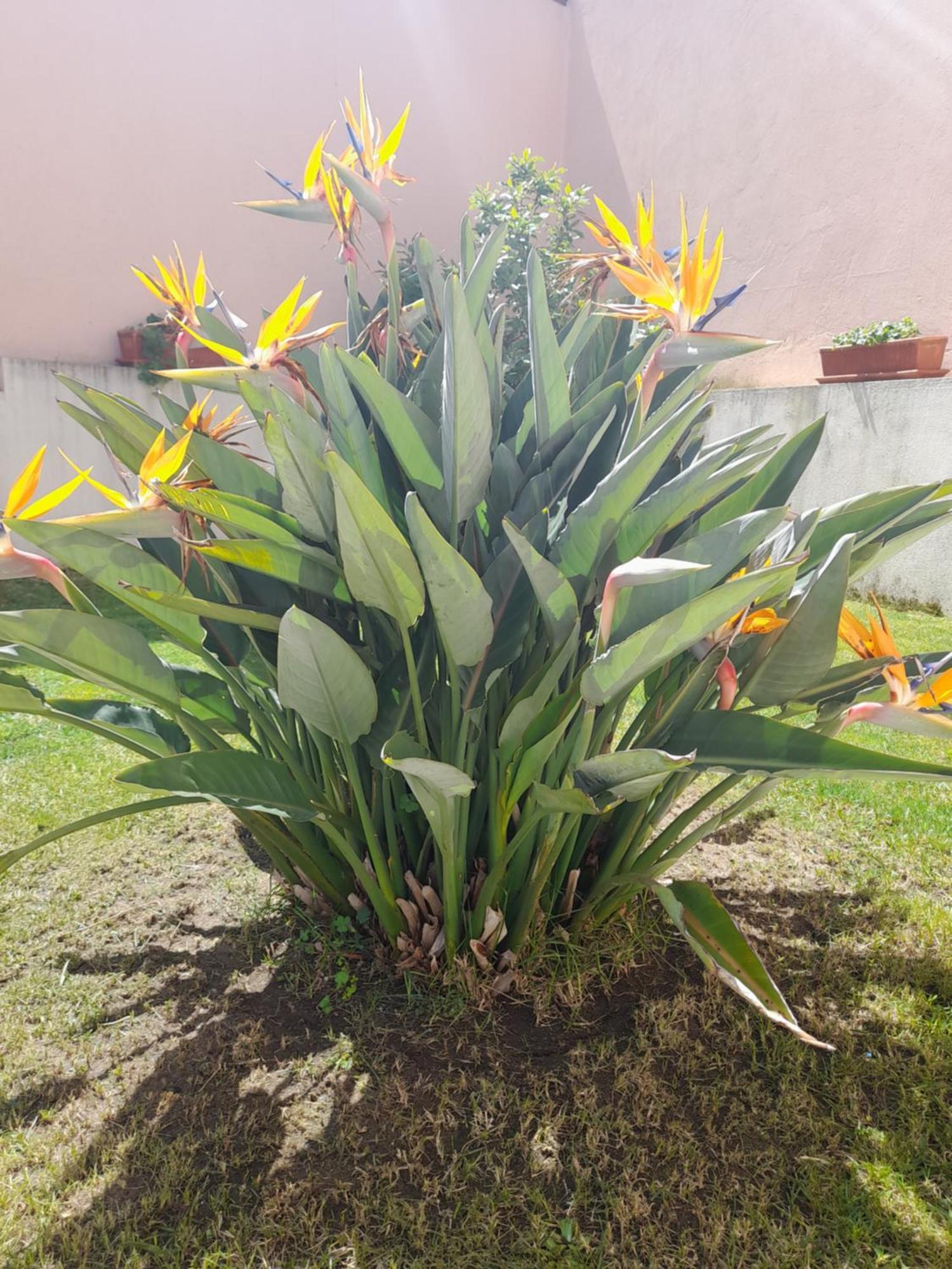 Villa A Casa Da Avo Ana Arneiro das Milharicas Esterno foto