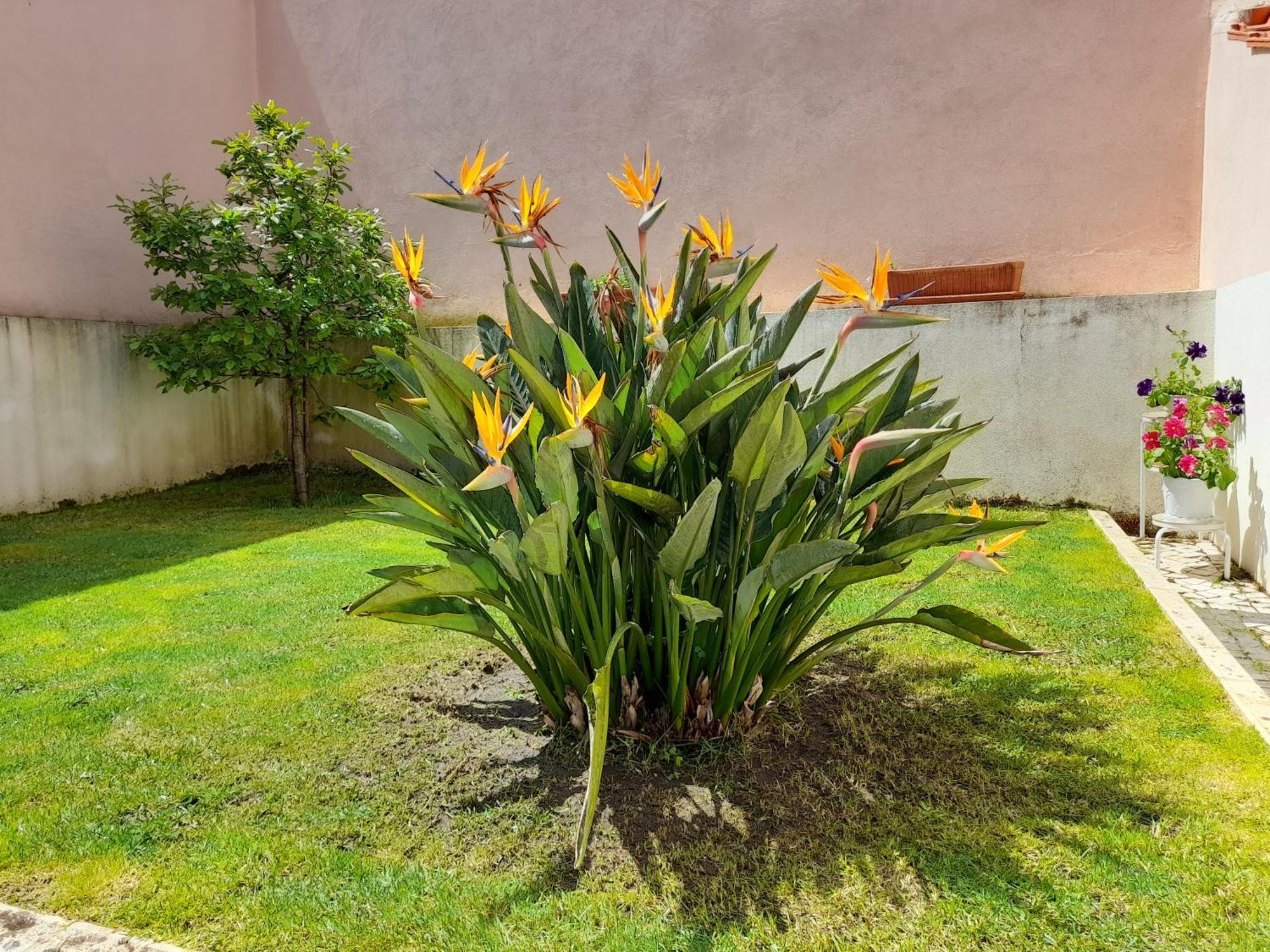 Villa A Casa Da Avo Ana Arneiro das Milharicas Esterno foto